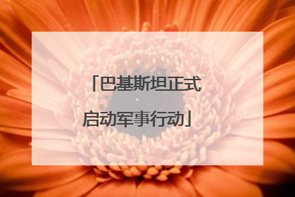 巴基斯坦正式启动军事行动