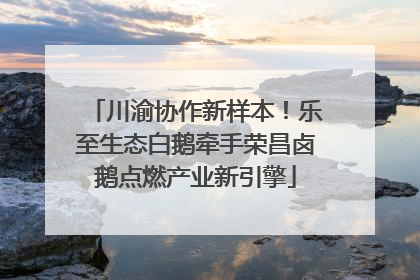 川渝协作新样本！乐至生态白鹅牵手荣昌卤鹅点燃产业新引擎