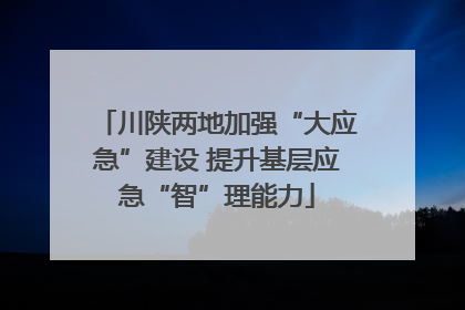 川陕两地加强“大应急”建设 提升基层应急“智”理能力