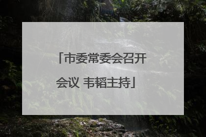 市委常委会召开会议 韦韬主持