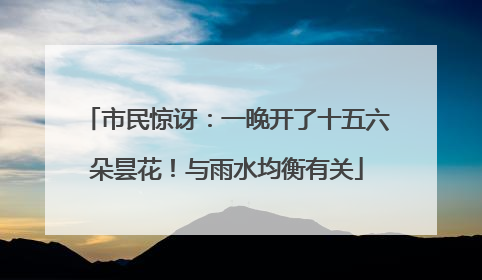 市民惊讶：一晚开了十五六朵昙花！与雨水均衡有关