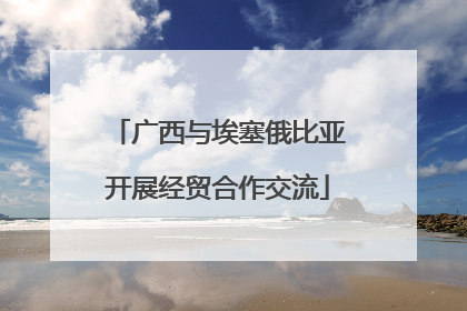 广西与埃塞俄比亚开展经贸合作交流