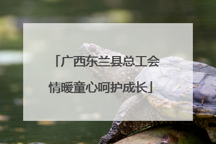 广西东兰县总工会情暖童心呵护成长