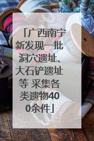广西南宁新发现一批洞穴遗址、大石铲遗址等 采集各类遗物400余件