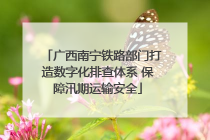 广西南宁铁路部门打造数字化排查体系 保障汛期运输安全