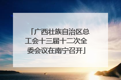 广西壮族自治区总工会十三届十二次全委会议在南宁召开
