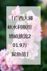 广西大藤峡水利枢纽增殖放流201.9万尾鱼苗