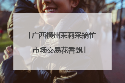 广西横州茉莉采摘忙 市场交易花香飘