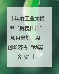 年度工业大模型“揭榜挂帅”项目出炉！AI创新济青“两翼齐飞”