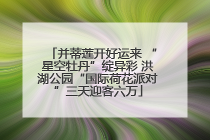 并蒂莲开好运来 “星空牡丹”绽异彩 洪湖公园“国际荷花派对”三天迎客六万