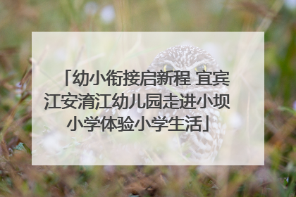 幼小衔接启新程 宜宾江安淯江幼儿园走进小坝小学体验小学生活