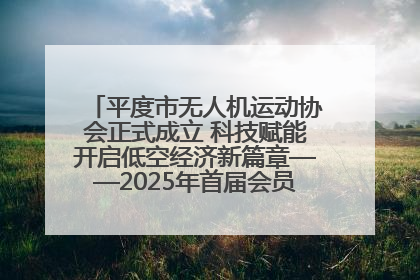 平度市无人机运动协会正式成立 科技赋能开启低空经济新篇章——2025年首届会员大会暨无人机应用发展论坛成功举办