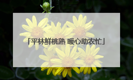 平林鲜桃熟 暖心助农忙