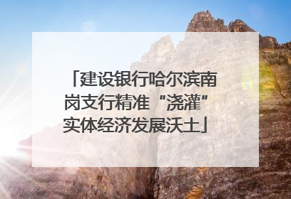 建设银行哈尔滨南岗支行精准“浇灌”实体经济发展沃土