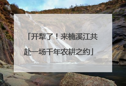 开犁了！来楠溪江共赴一场千年农耕之约