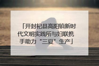 开封杞县高阳镇新时代文明实践所与妇联携手助力“三夏”生产
