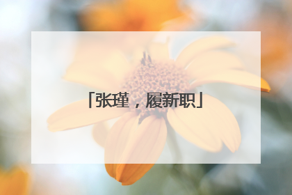 张瑾，履新职