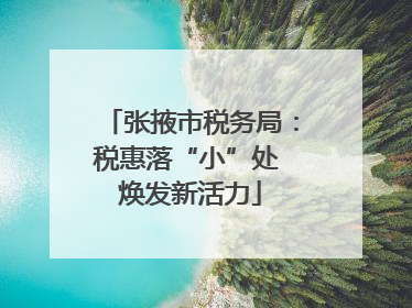 张掖市税务局：税惠落“小”处 焕发新活力