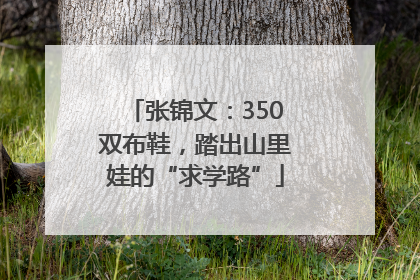 张锦文：350双布鞋，踏出山里娃的“求学路”