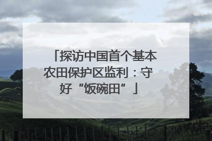 探访中国首个基本农田保护区监利：守好“饭碗田”