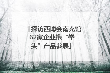 探访西博会南充馆 62家企业携“拳头”产品参展