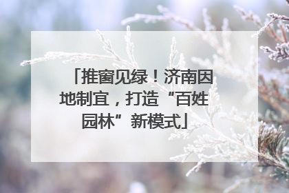 推窗见绿！济南因地制宜，打造“百姓园林”新模式