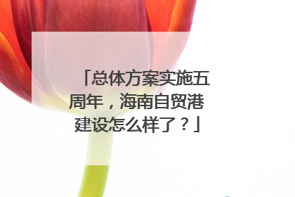 总体方案实施五周年，海南自贸港建设怎么样了？