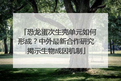 恐龙蛋次生壳单元如何形成？中外最新合作研究揭示生物成因机制