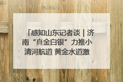 感知山东记者谈｜济南“真金白银”力推小清河航道 黄金水道激活区域经济新动能