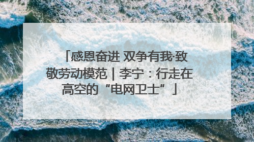 感恩奋进 双争有我·致敬劳动模范｜李宁：行走在高空的“电网卫士”