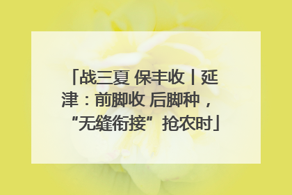 战三夏 保丰收丨延津：前脚收 后脚种，“无缝衔接”抢农时