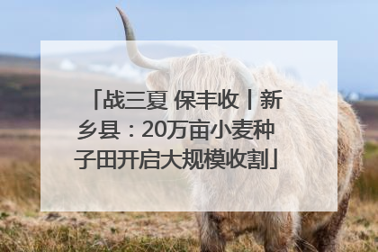 战三夏 保丰收丨新乡县：20万亩小麦种子田开启大规模收割