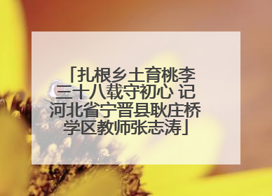 扎根乡土育桃李 三十八载守初心 记河北省宁晋县耿庄桥学区教师张志涛