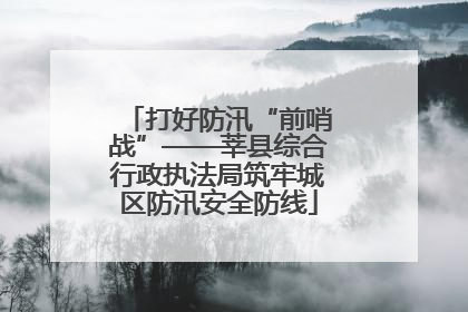 打好防汛“前哨战”——莘县综合行政执法局筑牢城区防汛安全防线