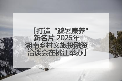 打造“避暑康养”新名片 2025年湖南乡村文旅投融资洽谈会在桃江举办
