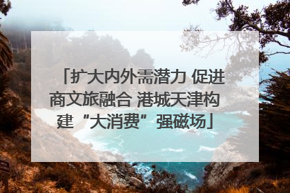扩大内外需潜力 促进商文旅融合 港城天津构建“大消费”强磁场