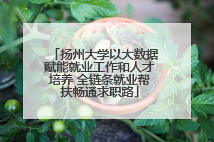 扬州大学以大数据赋能就业工作和人才培养 全链条就业帮扶畅通求职路