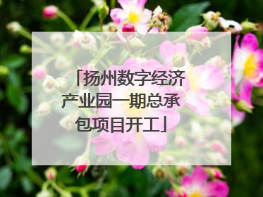 扬州数字经济产业园一期总承包项目开工