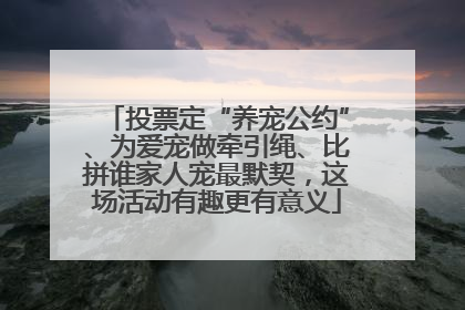 投票定“养宠公约”、为爱宠做牵引绳、比拼谁家人宠最默契，这场活动有趣更有意义