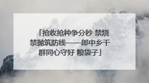抢收抢种争分秒 禁烧禁抛筑防线——郎中乡干群同心守好 粮袋子