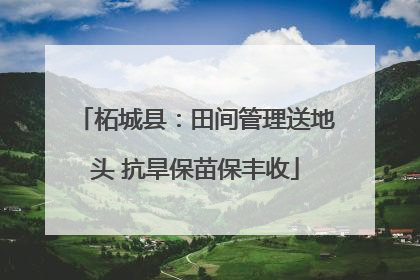 柘城县：田间管理送地头 抗旱保苗保丰收