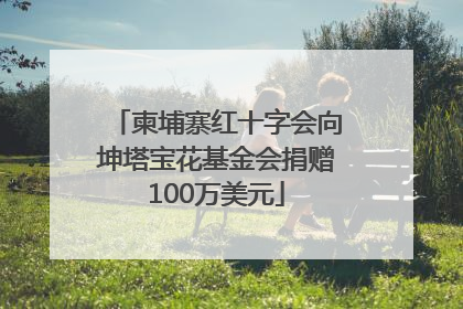 柬埔寨红十字会向坤塔宝花基金会捐赠100万美元