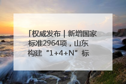 权威发布｜新增国家标准2964项，山东构建“1+4+N”标准化创新发展新格局