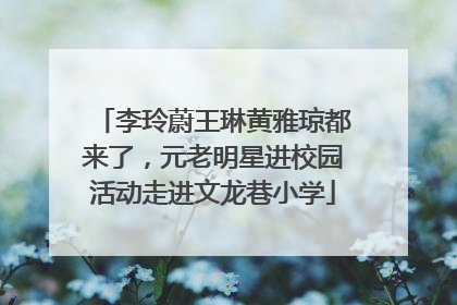 李玲蔚王琳黄雅琼都来了，元老明星进校园活动走进文龙巷小学