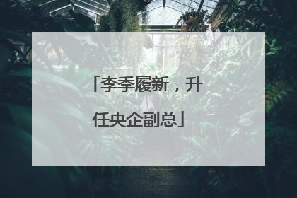 李季履新，升任央企副总