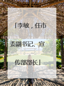 李敏，任市委副书记、宣传部部长