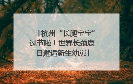 杭州“长腿宝宝”过节啦！世界长颈鹿日邂逅新生幼崽