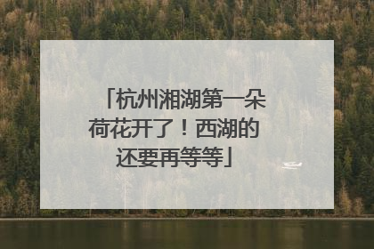 杭州湘湖第一朵荷花开了！西湖的还要再等等