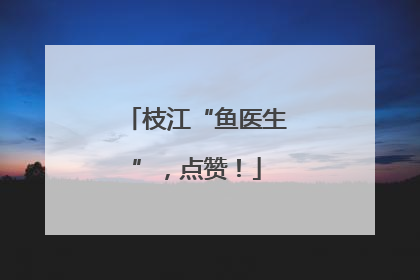 枝江“鱼医生”，点赞！