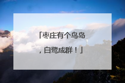 枣庄有个鸟岛，白鹭成群！